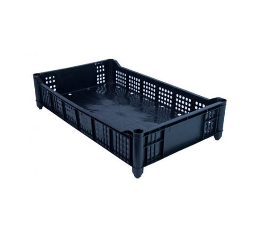 CAJA FRUTILLERA 1 CAJA FRUTILLERA